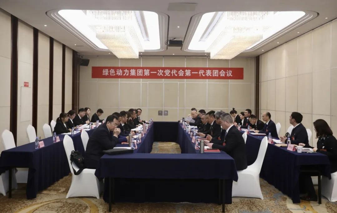 铭记使命再出发，，，，，，代表热议“两委”报告