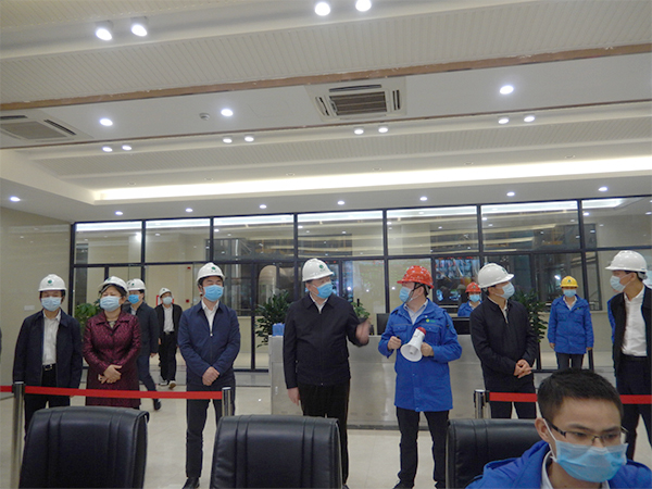 广西壮族自治区人大常委会副主任张秀隆视察888集团博白项目